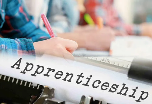 What Are The Guidelines You Should Follow For National Apprenticeship Promotion ​scheme?
