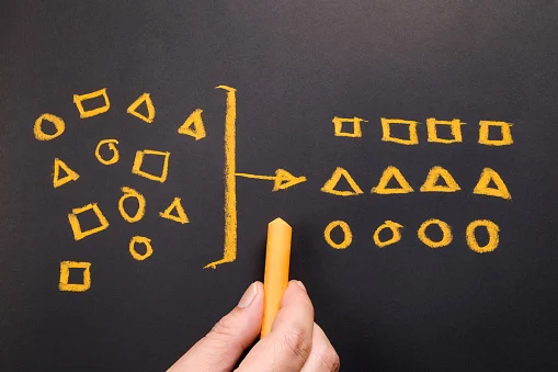 7 Human Resource Management Basics Every HR professional should know