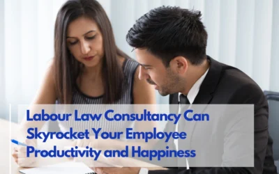 How Labour Law Consultancy Can Skyrocket Your Employee Productivity and Happiness!