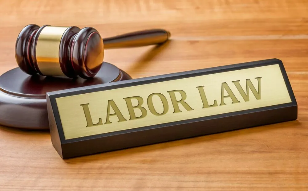 How To Choose the Right Professional Labour Law Consultants?